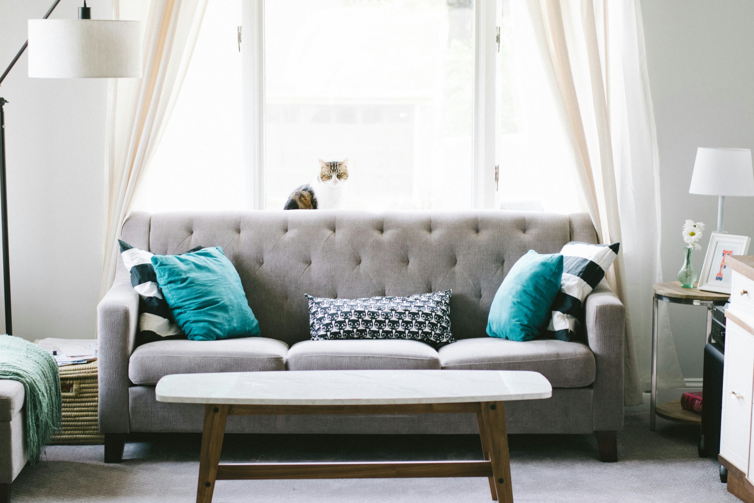 furniture buyer tabuk